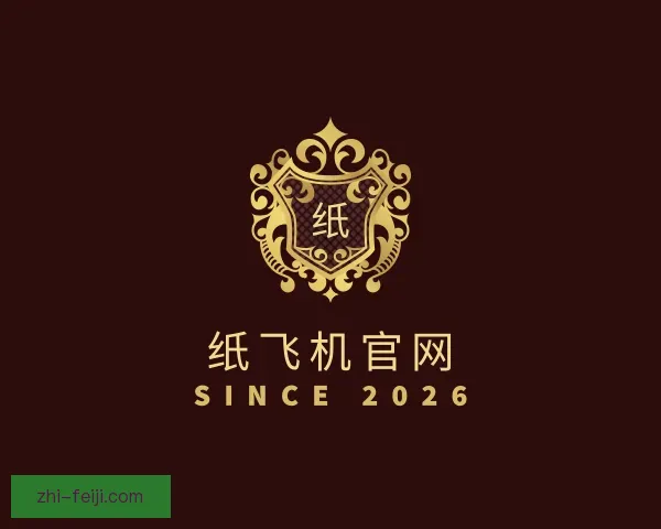 认识纸飞机官网